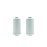 AllSpares Filtro de agua de fluoruro y arsénico (2 unidades) para sistema de filtro de gravedad adecuado para Berkey®