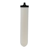 Newton Vela de filtro de agua de cerámica de montaje corto de 10 pulgadas | Compatible con Doulton 9504, 9501, W9123053, W9123006 (paquete de 1)