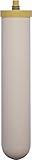 Doulton Filtro de cerámica BioTect Ultra SI de 10 pulgadas ¦ Montaje de elemento de rosca corta M12 ¦ 2505