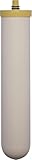 Doulton Filtro de cerámica Biotect Ultra SI de 10 pulgadas ¦ Montaje de elemento de rosca corta M12 ¦ 2505