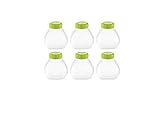 Tefal Multidelices - Accesorios yogurtera, 6 botellines de plástico de 200 mililitros, 1 cepillo limpiador, libro de recetas