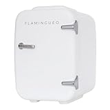 Flamingueo Nevera Pequeña - Mini Nevera 4L, Mini Frigorifico 12V/220V, Función Frío y Calor, Nevera Cosmeticos, Mini Neveras Para Habitacion, Mini Fridge