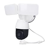 Smart WIFI AI Floodlight PTZ Cámara de Seguridad Reconocimiento Facial 1080P 355 Grados Panorámico Al Aire Libre AC100 240V Adecuado para Home Shop School Office(EU)