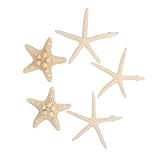 MAGICLULU 5 Piezas Imán De Nevera De Estrellas De Mar Pizarra Magnética Nevera Exquisitas Pegatinas Armarios Imanes Pegatinas De Nevera De Bricolaje Pegatina Nevera Creativa Estrella De Mar