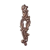 cyclingcolors 1x Roseta placa de llave cubierta bocallave cerradura antigua mueble 22 x 85 mm