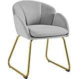 Yaheetech Silla de Comedor Moderno Tapizada Terciopelo con Apoyabrazos y Respaldo Ergonómico Gris