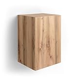 MOBILI FIVER, Estante de Pared en Forma de Cubo con Puerta Iacopo, Color Madera rústica, Aglomerado y Melamina, Armario de Pared para Entrada, Salon, Oficina, Made In Italy