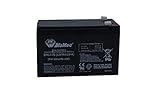 Diamec Batería Plomo AGM 12v 7Ah F1 para Seguridad