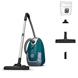 Rowenta Aspirador trineo con bolsa de alta filtración y 3 filtros, 4,5L, verde y gris