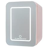 Flamingueo Nevera Pequeña 10L - Mini Nevera Espejo y Luz LED, Nevera 12V/220V, Función Frío y Calor, Nevera Cosmeticos, Nevera Skincare, Mini Fridge