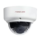 Foscam D2EP - Cámara IP PoE Exterior HD 2 MP infrarroja de 20 m, Antivandalico IK10. Detección Humana Inteligente, Compatible con Amazon Alexa