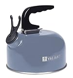 Valiant FIR659 - Hervidor de agua portátil para camping, 1 litro, color azul