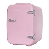 Flamingueo Nevera Pequeña - Mini Nevera 4L, Nevera Cosmeticos, 12V/220V, Mini Neveras Para Habitacion, Nevera Skincare