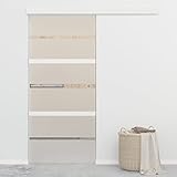 IKAYAA Puerta Corredera de Cristal con Guia Puerta Corredera, Puerta Corredera 90 x 205 cm, Puertas Interior Cristal para Sala de Estar Salón Habitación Plateado
