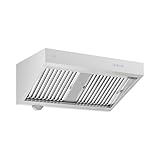 Royal Catering Campana extractora RCGH-100 con motor 120 cm 1000 m³/h LED 150 W 4 niveles de acero inoxidable campana de pared Wandesse