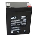 DSK 10381 - Bateria Plomo AGM Recargable y Sellada con 12V y 2,9Ah. Batería Ideal para Alarmas del Hogar e Industria, Juguetes Eléctricos para niños, Aparatos de Movilidad, Patinetes, Cercados