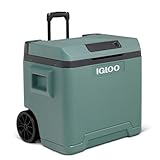 IGLOO IE42 Nevera eléctrica para Coche y Enchufe, 42L, 12V y 230V