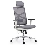 HOLLUDLE Silla de Oficina Ergonómica con Respaldo Adaptativo, Mesa y Silla de Escritorio de Alto Respaldo con Reposabrazos 4D, Profundidad de Asiento Ajustable, Soporte Lumbar y Reposacabezas 2D