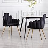 Wahson Sillas de Comedor Terciopelo Juego de 2 Sillas Ocios de Salón Elegantes con Respaldo de Diseño, Sillas de Cocina Modernas Patas Doradas para Sala de Estar/Hogar, Negro