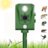 WUGEIN Ahuyentador de animales por ultrasonidos, detector de movimiento y LED fuerte parpadeo, por ultrasonido y alarma contra perros, martas, zorros y otros animales, frecuencia de 13-45 kHz, alcance