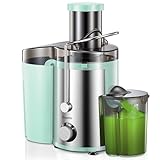 Reemix Licuadoras Para Verduras y Frutas, Licuadora de Acero Inoxidable, Fácil de Limpiar, 2 Modos de Velocidad, 65MM de Boca Ancha, Pies Nondeslizantes, Cepillo Incluido (Verde, 800W)