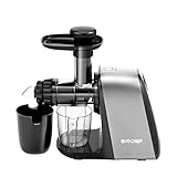 Extractor de zumos BioChef Axis Compact Cold Press Juicer – Licuadora en frío con Regulador de pulpa y BPA Free. 3 Años de Garantía. (Plata)