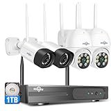 Hiseeu 10CH 5MP Kit de Cámara de Vigilancia，Sistema de Cámara de Seguridad con Audio de 2 vías, IP66 Impermeable,Visión Nocturna en Color, Detección de Movimiento, Alerta de Aplicación, 1TB HDD