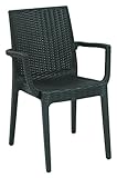 POLTRONA Dafne SIMIL Rattan Marrone Espresso