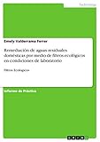 Remediación de aguas residuales domésticas por medio de filtros ecológicos en condiciones de laboratorio: Filtros Ecologicos