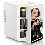VINATO 4L Mini Nevera para Dormitorio, Nevera Skincare con Espejo LED, Portatil Nevera Pequeña 220 V AC / 12 V DC para Coche, Oficina, Dormitorio