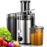 Reemix Licuadoras Para Verduras y Frutas, Licuadora de Acero Inoxidable, Fácil de Limpiar, 2 Modos de Velocidad, 65MM de Boca Ancha, Pies Nondeslizantes, Cepillo Incluido (Black, 800W)