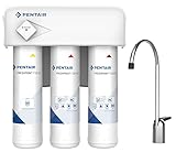 PENTAIR F3000-B2M - Filtro de agua potable - Reduce la arena, sedimentos, cloro, quistes, atrazina y lindano del agua con alta turbidez - 0,5 micras - 12 meses
