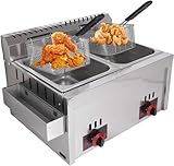 Freidora de gas de doble cilindro de acero inoxidable de 10 l x 2, freidora profesional para restaurantes comerciales y cocina doméstica, ideal para pollo, patatas fritas y más, incluye cuchara de