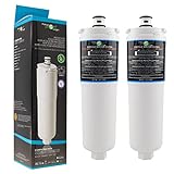 Filterlogic FFL-111B | Filtro de agua interno compatible con 3M CS-52 para Balay, Bosch, Siemens, Neff frigoríficos americanos - Cartucho 00640565, 640565, 00576336, 576336 - Pack de 2