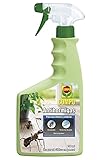 COMPO Antihormigas Pistola, Envase pulverizador, Apto para Uso doméstico, Hogar y jardín, Efecto Duradero, 750 ml