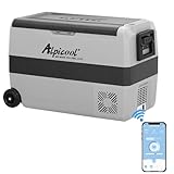 Alpicool T50 50 litros Nevera portátil 12 V 24 V congelador, pequeño congelador para coche, camping, camión, barco y enchufe con puerto USB
