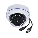 2MP Cámara de Seguridad analogica 1080P AHD Camara CCTV Gran Angular ángulo de visión de 180° en Domo Al Aire Libre/Interior Visión Nocturna 1.7mm Lente, HD TVI/CVI/AHD/CVBS Switchable