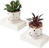 OAKERLAND Blanco Pequeños Estantes Madera Pared, 2 estantes de Balda Flotante de Roble Macizo, Mini Estantería de Pared para Plantas, Dormitorio, Salón, Cocina, Oficina, Lavadero etc