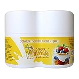 Yogur Box - Yogurtera sin electricidad (2 unidades, 0,5 L, cristal)