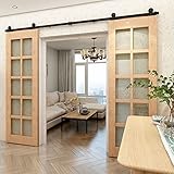 Herrajes Puertas Correderas Doble 366cm Rieles Kit Puerta Corredera Negro para 2 Puerta Corredera Madera 91cm Ancho, Pequeña Rueda T-forma