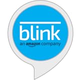 Blink SmartHome