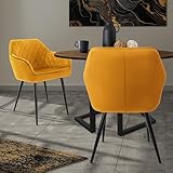 ML-Design Set 2X Sillas de Comedor Color Ocre Estilo Moderno Asiento Tapizado Aspecto de Terciopelo Patas de Metal Negras con Respaldo y Apoyabrazos Sillón Moderno de Salón Oficina Dormitorio Cocina