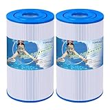 TOREAD Filtros de SPA de Aguas Termales Compatible con Watkins 31489, Unicel C-6430, Pleatco PWK30, Filbur FC-3915, 73178, 73250, 71825, P/N0969601 filtros de bañera de hidromasaje